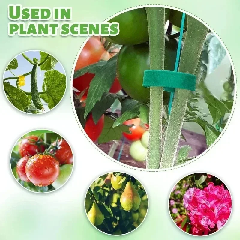 정원용 테이프 나일론 케이블 타이, 식물 꽃 재배용,  - Florist Supp 리뷰 및 가격