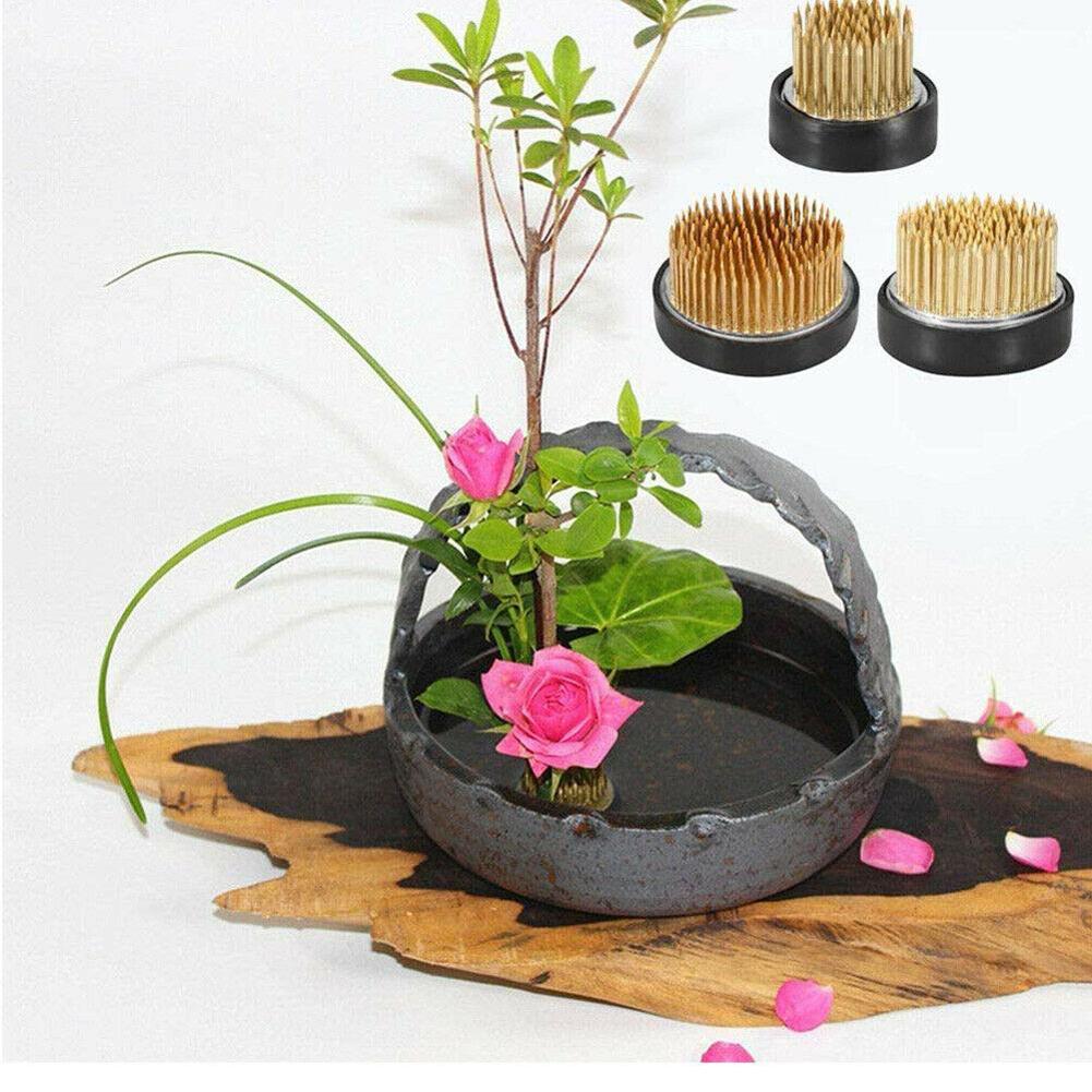 가스켓 아트가있는 둥근 꽃꽂이 꽃 개구리 고정 배열 도 - Flower Frog Pin 리뷰 및 가격