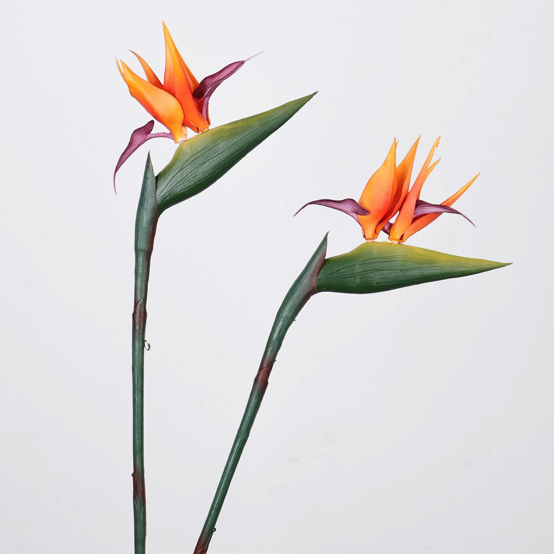 33인치 인조 버드 오브 파라다이스 식물 단일 줄기 인 - Florist Supp 리뷰 및 가격