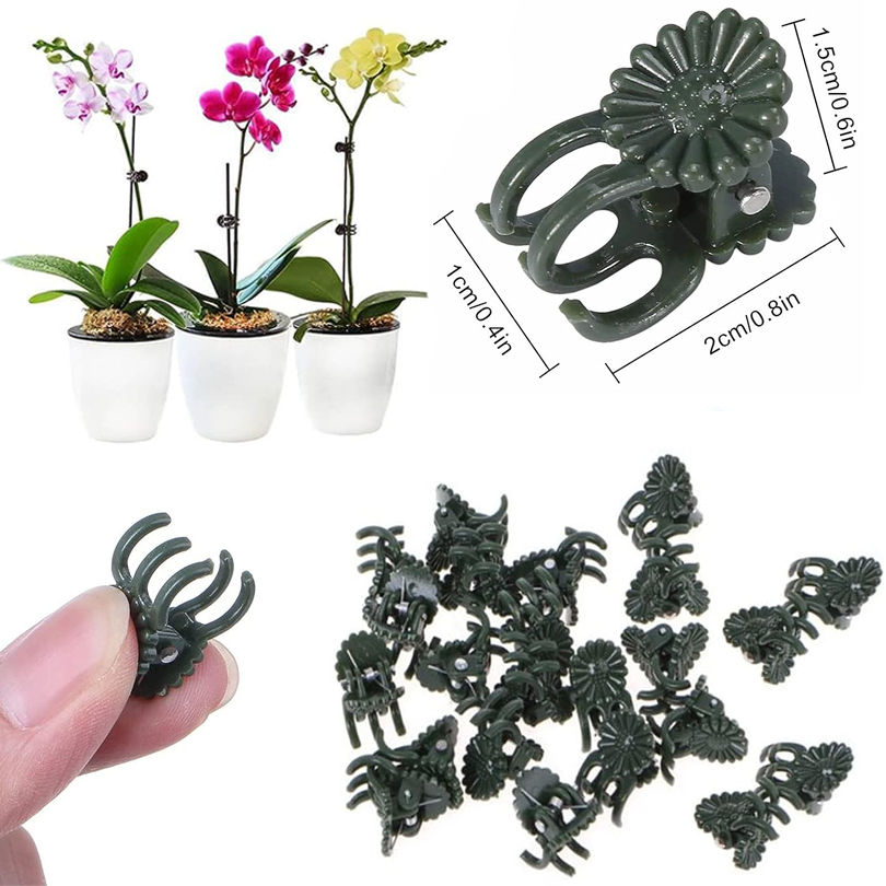 식물 클립 덩굴 클램프 접목용 식물 지지대, 토마토 나 - Florist Supp 리뷰 및 가격