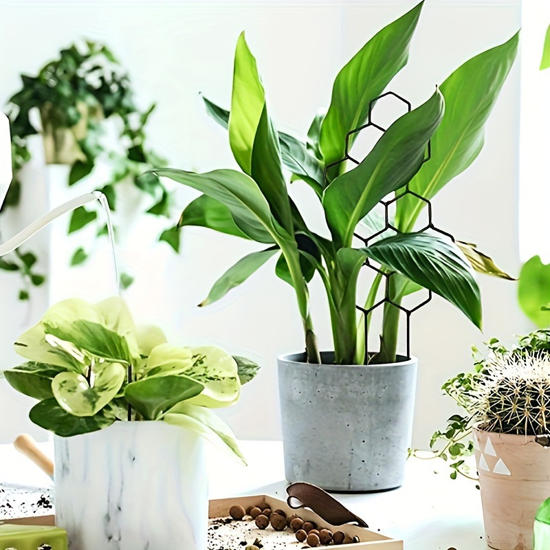 1PC 벌집형 디자인 식물 지지대, 화분에 심은 덩굴식 - Florist Supp 리뷰 및 가격
