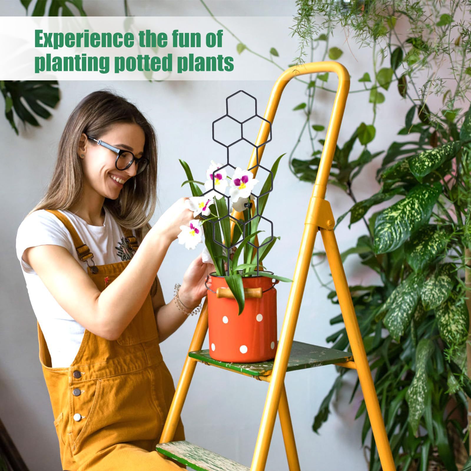 1PC 벌집형 디자인 식물 지지대, 화분에 심은 덩굴식 - Florist Supp 리뷰 및 가격